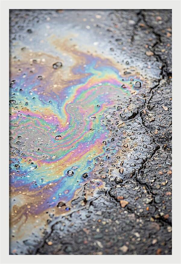 Reflections Of Colorful Serenity