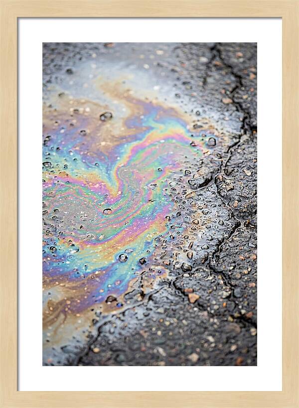 Reflections Of Colorful Serenity