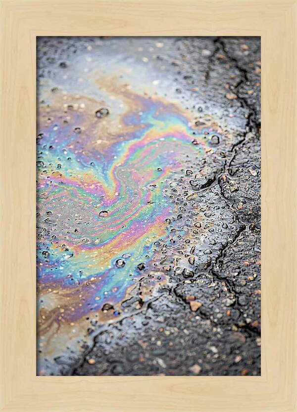 Reflections Of Colorful Serenity