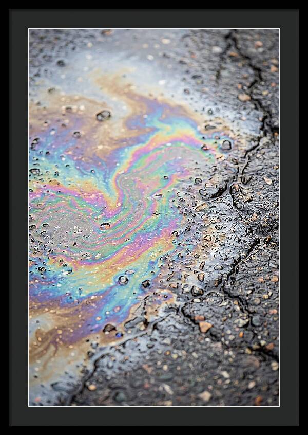 Reflections Of Colorful Serenity