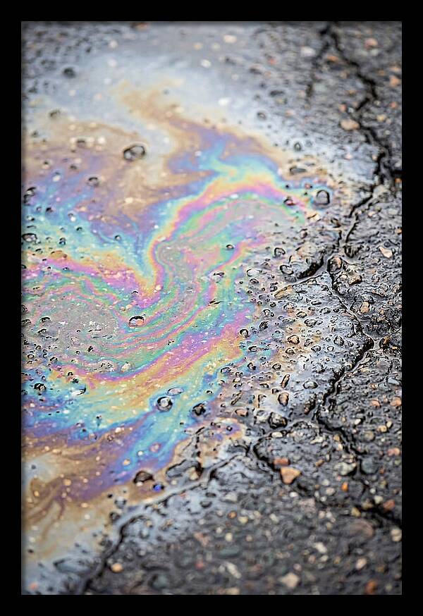 Reflections Of Colorful Serenity