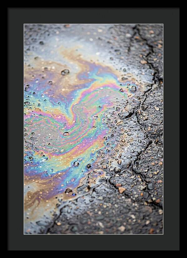 Reflections Of Colorful Serenity