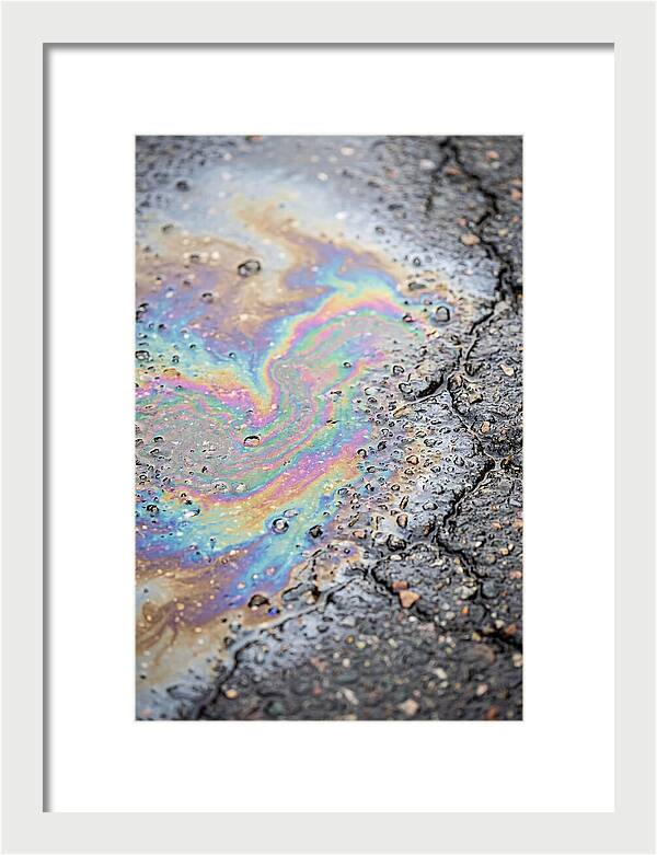 Reflections Of Colorful Serenity