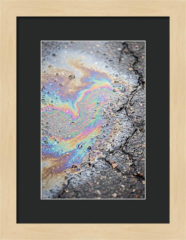 Reflections Of Colorful Serenity