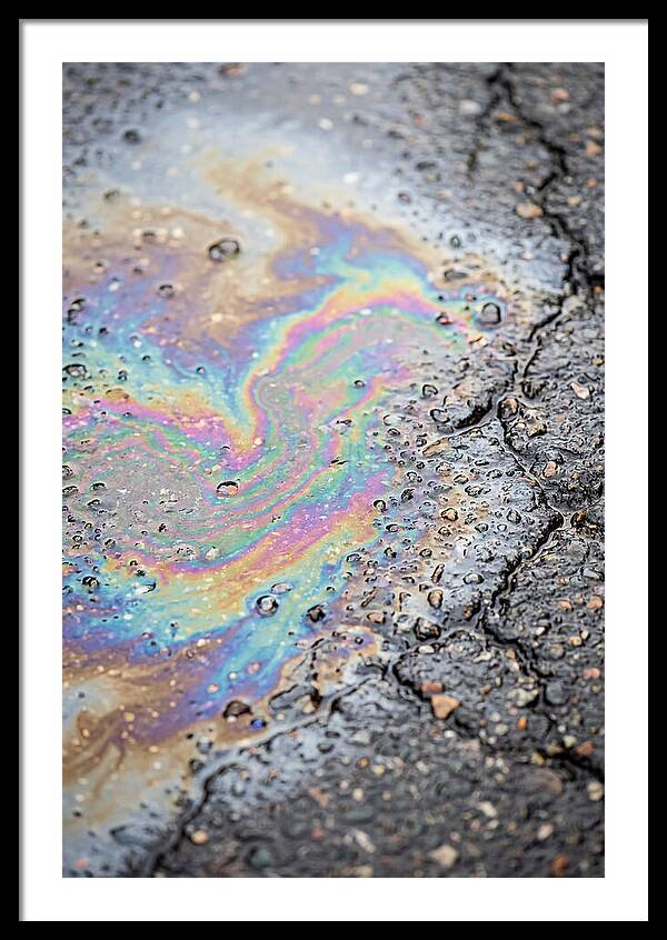Reflections Of Colorful Serenity
