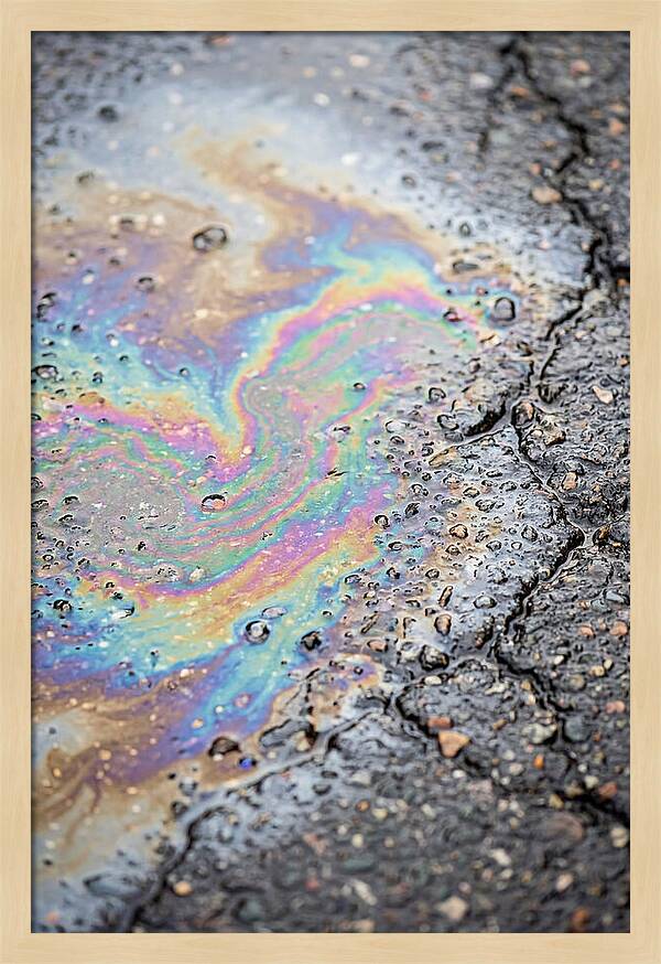 Reflections Of Colorful Serenity