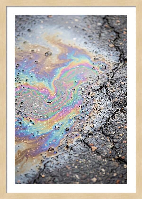 Reflections Of Colorful Serenity