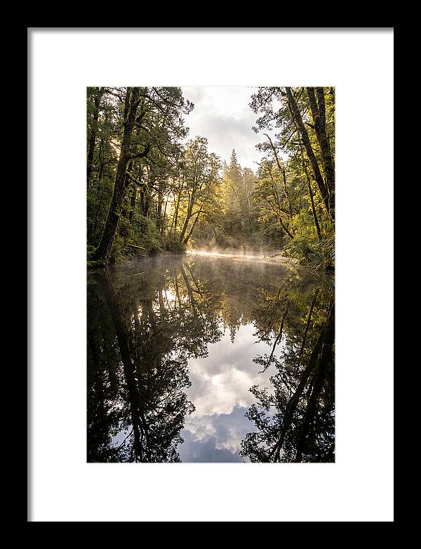 Reflections Of Walden Pond