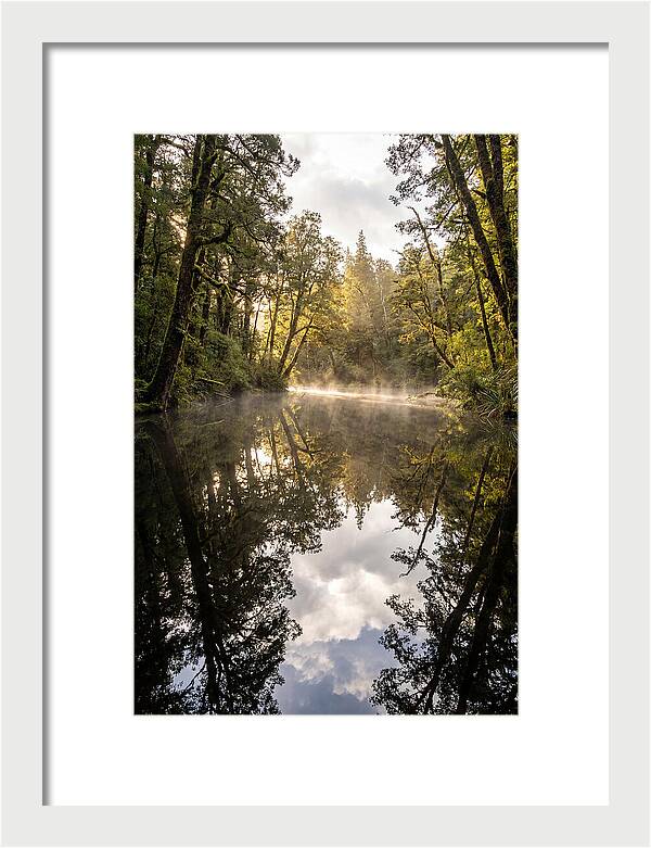Reflections Of Walden Pond