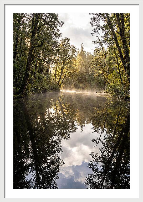 Reflections Of Walden Pond