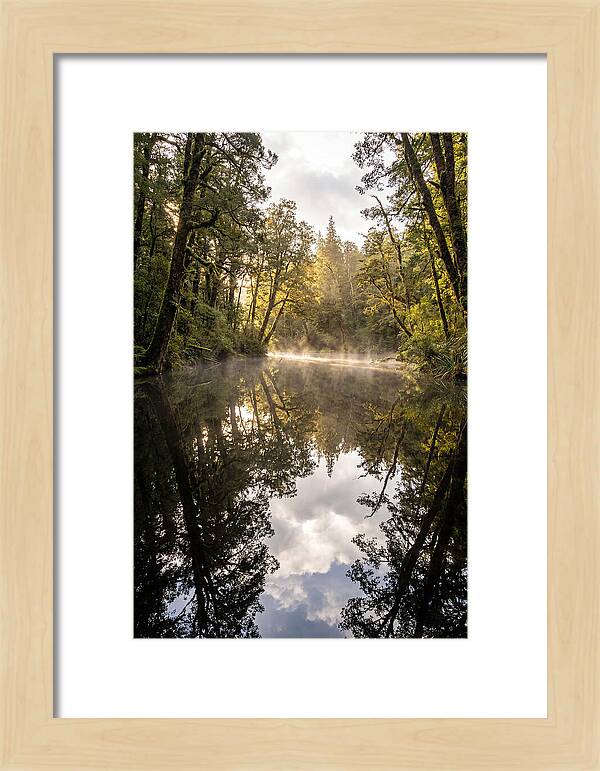 Reflections Of Walden Pond