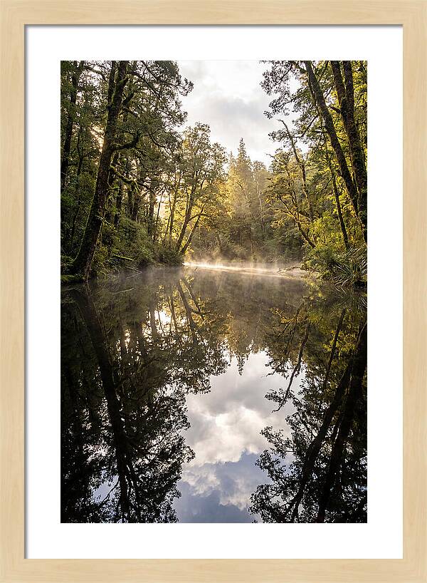 Reflections Of Walden Pond