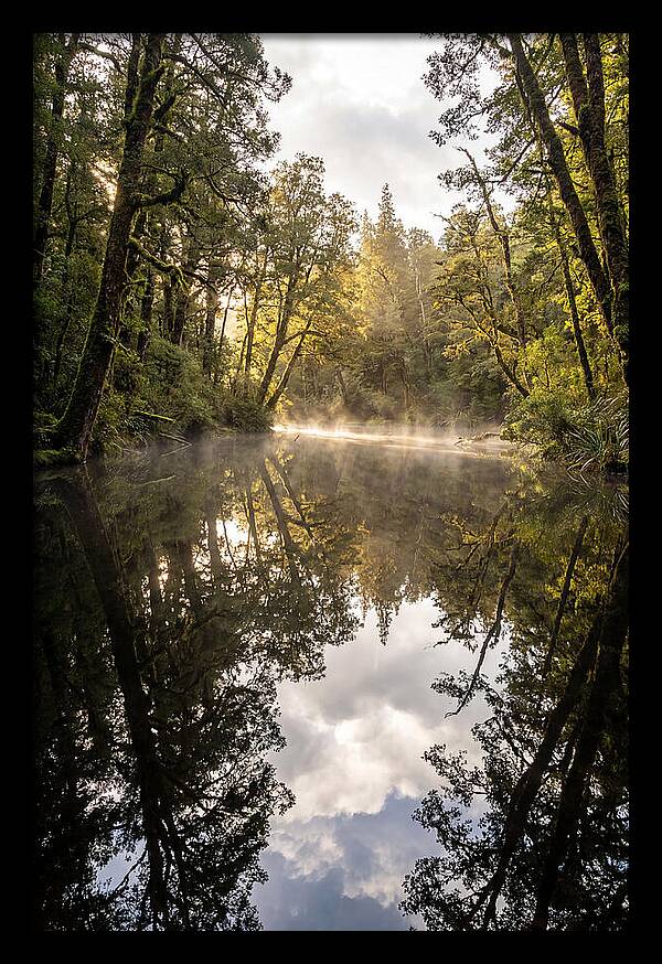 Reflections Of Walden Pond