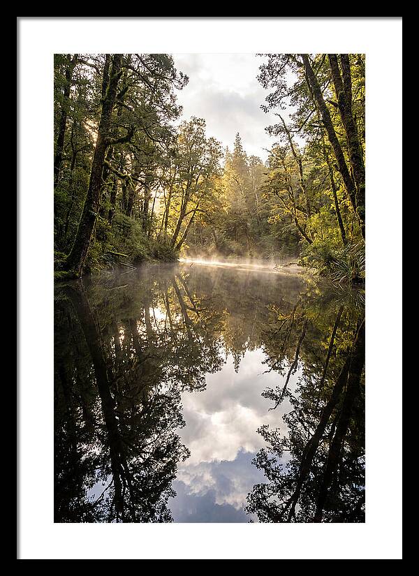 Reflections Of Walden Pond