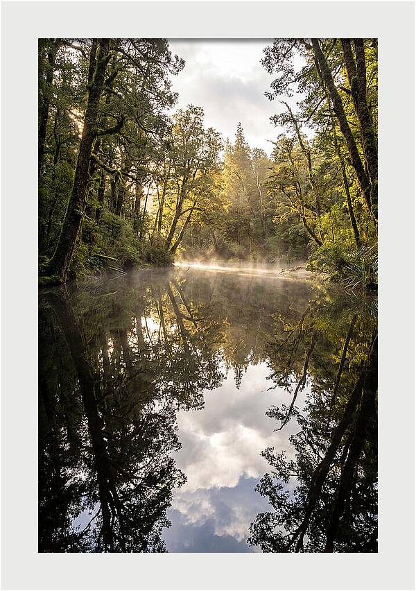 Reflections Of Walden Pond