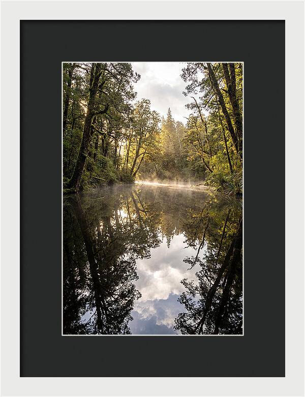 Reflections Of Walden Pond