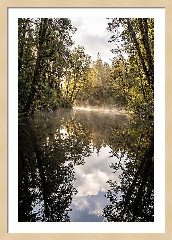 Reflections Of Walden Pond