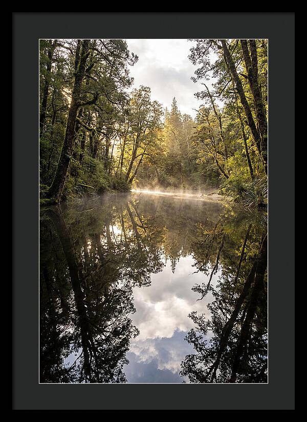 Reflections Of Walden Pond