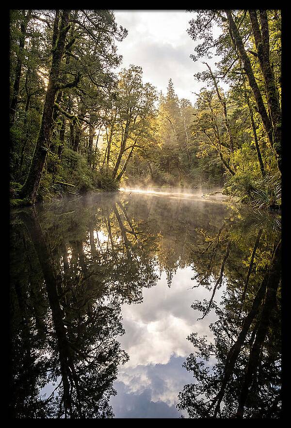 Reflections Of Walden Pond