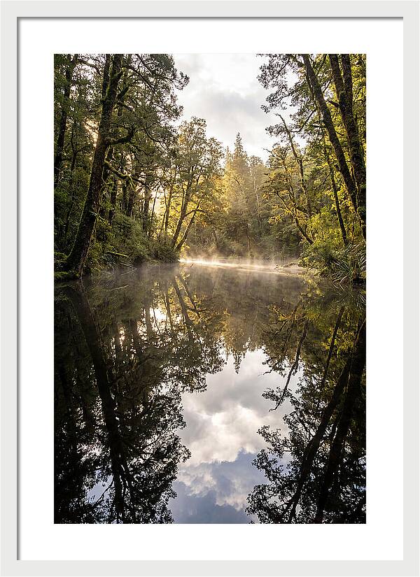 Reflections Of Walden Pond