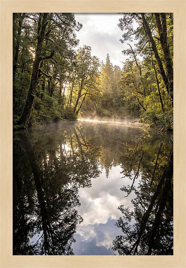 Reflections Of Walden Pond