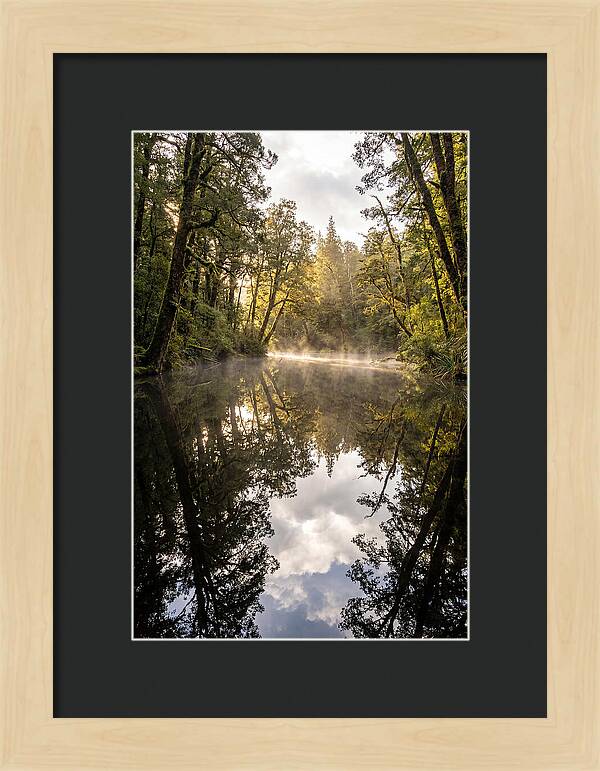 Reflections Of Walden Pond