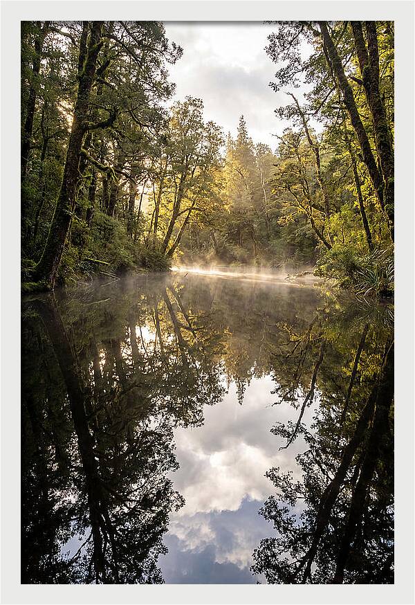 Reflections Of Walden Pond