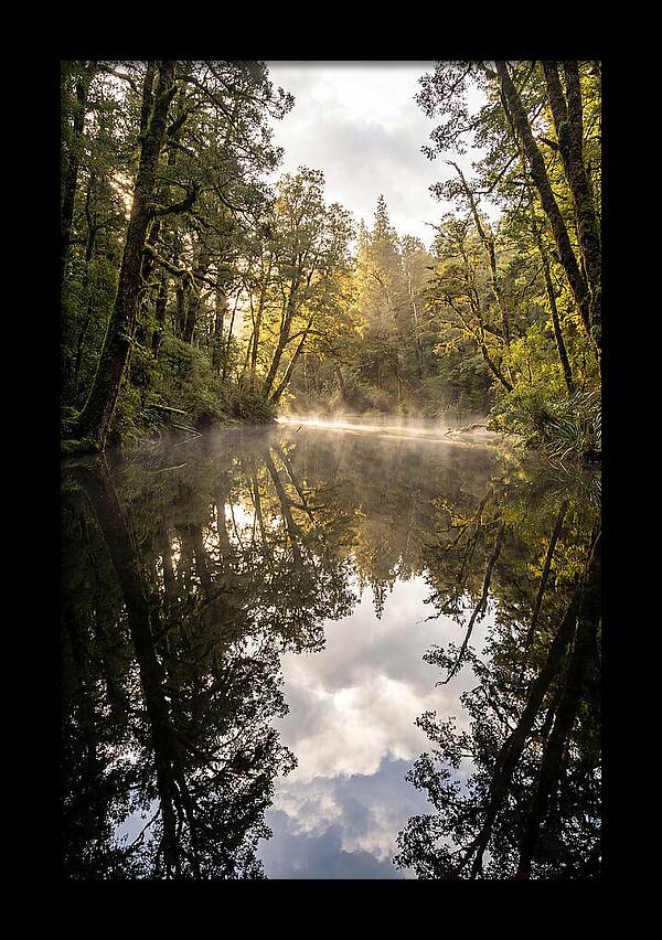 Reflections Of Walden Pond
