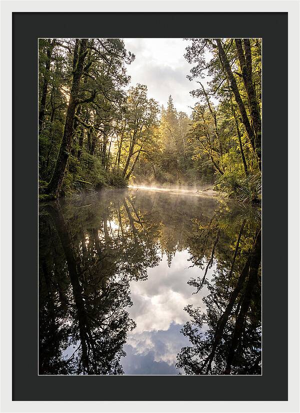 Reflections Of Walden Pond