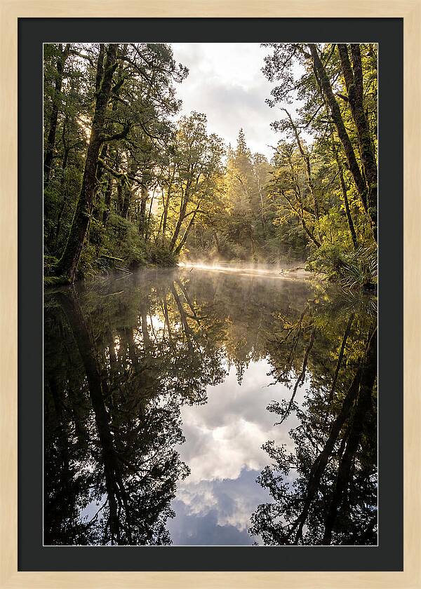 Reflections Of Walden Pond