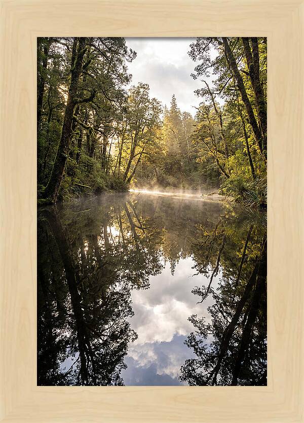 Reflections Of Walden Pond