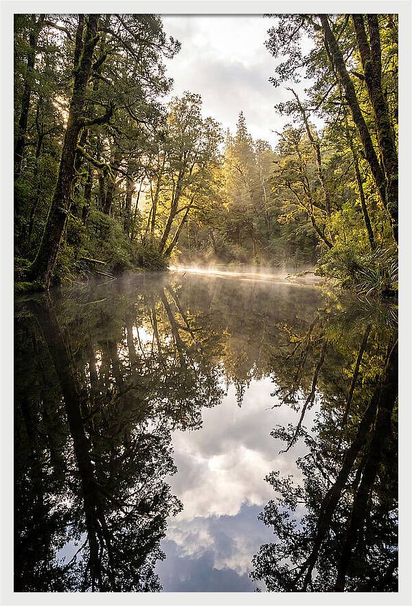 Reflections Of Walden Pond