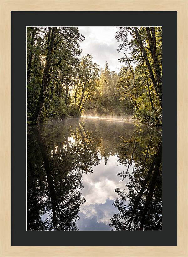 Reflections Of Walden Pond