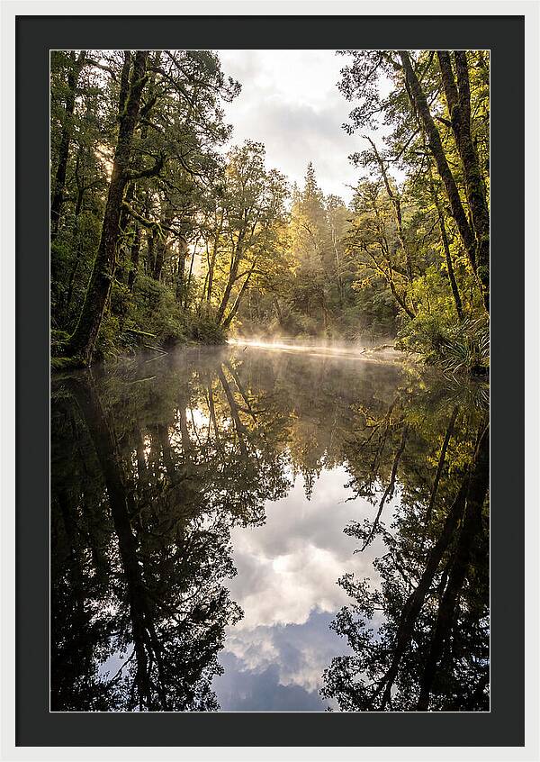 Reflections Of Walden Pond