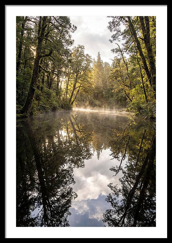 Reflections Of Walden Pond