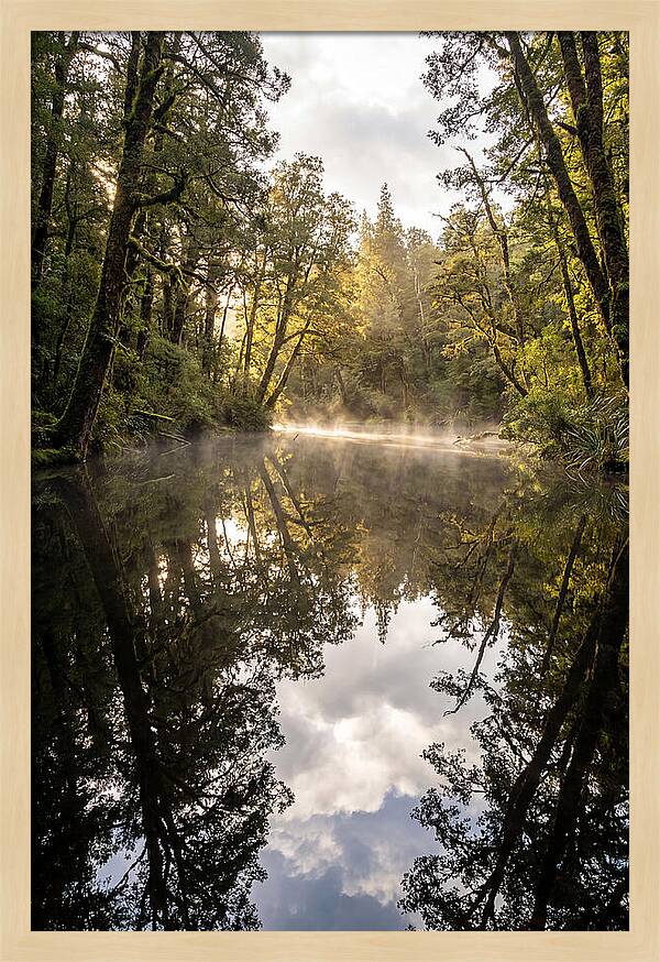Reflections Of Walden Pond