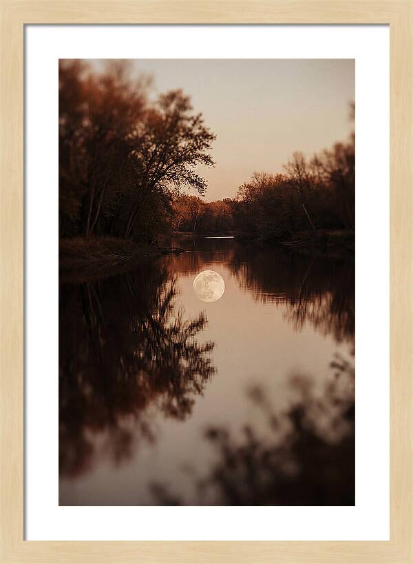 Reflections Under The Moonlight