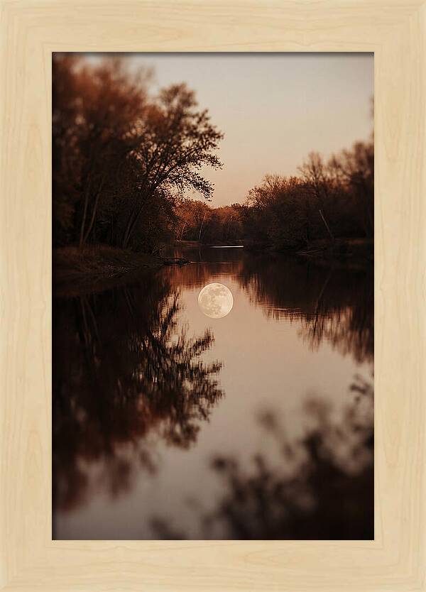 Reflections Under The Moonlight