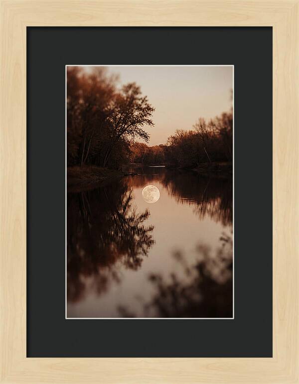 Reflections Under The Moonlight