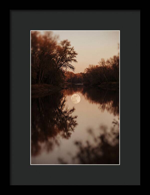 Reflections Under The Moonlight