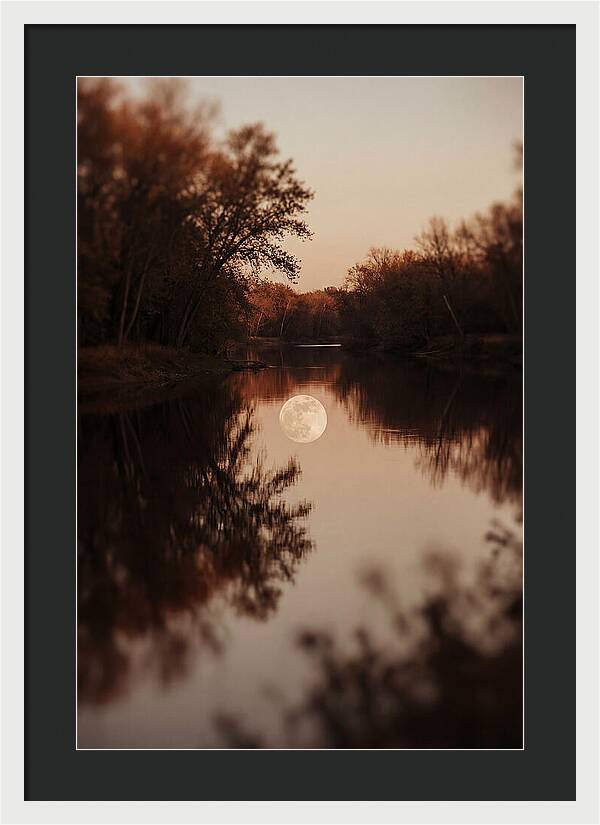 Reflections Under The Moonlight