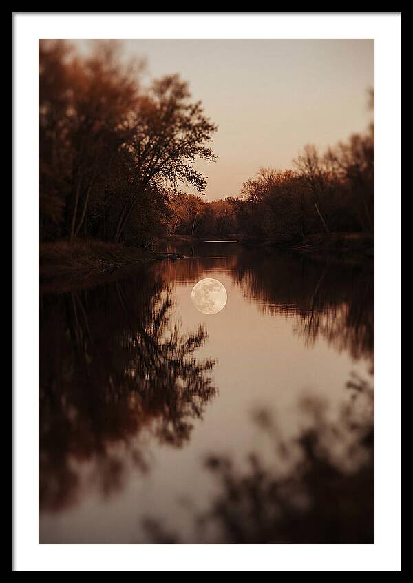 Reflections Under The Moonlight