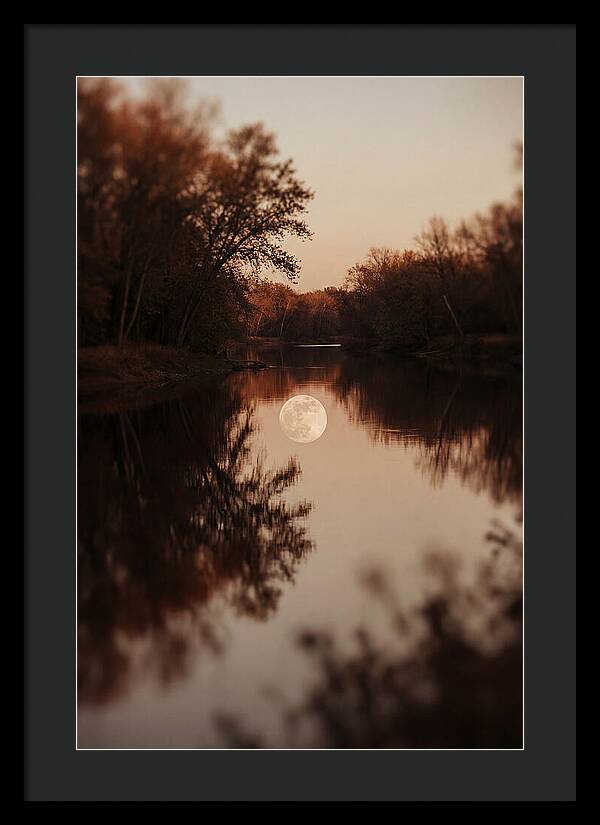 Reflections Under The Moonlight