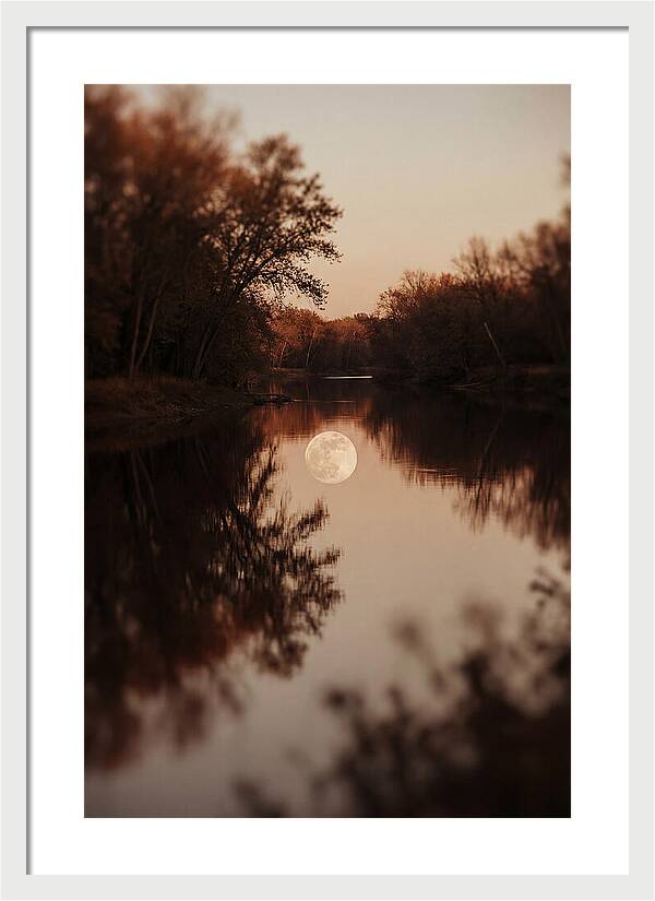 Reflections Under The Moonlight