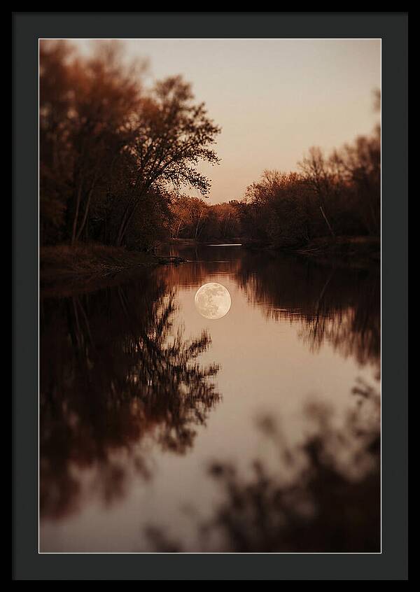 Reflections Under The Moonlight