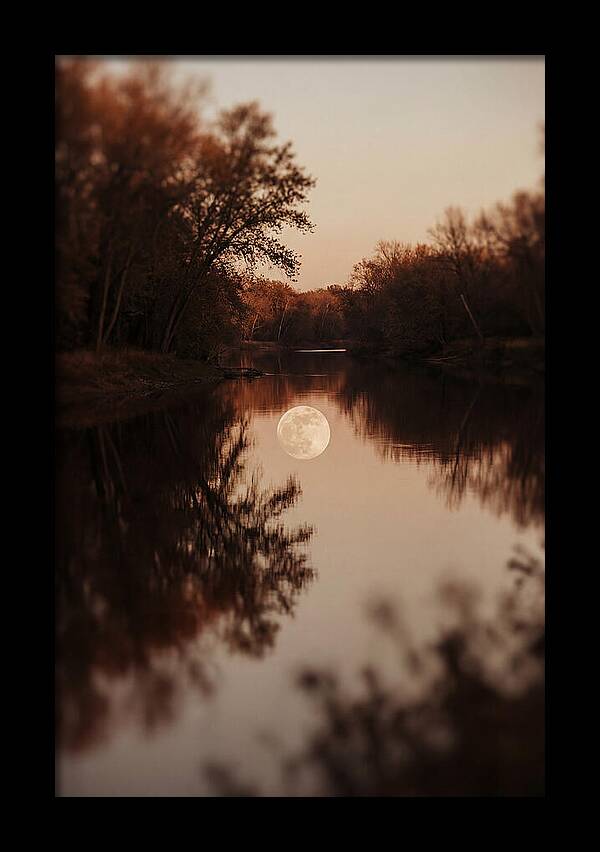 Reflections Under The Moonlight