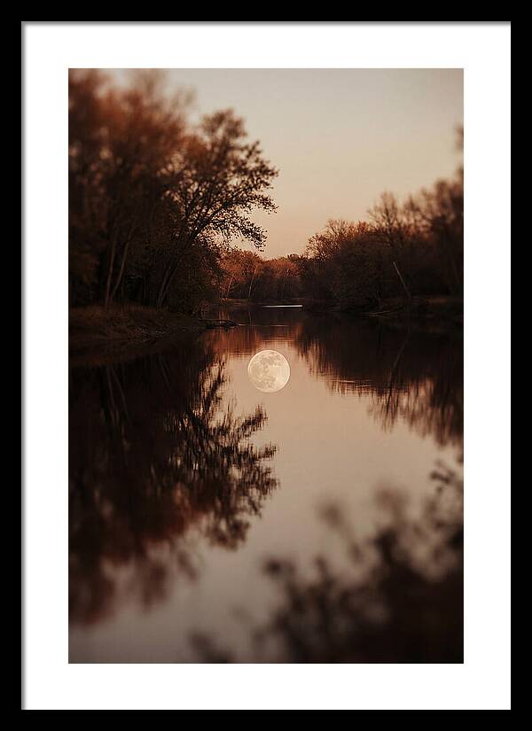 Reflections Under The Moonlight