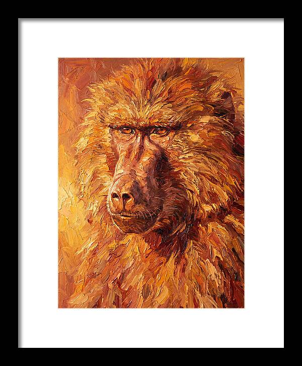 Regal Baboon Closeup