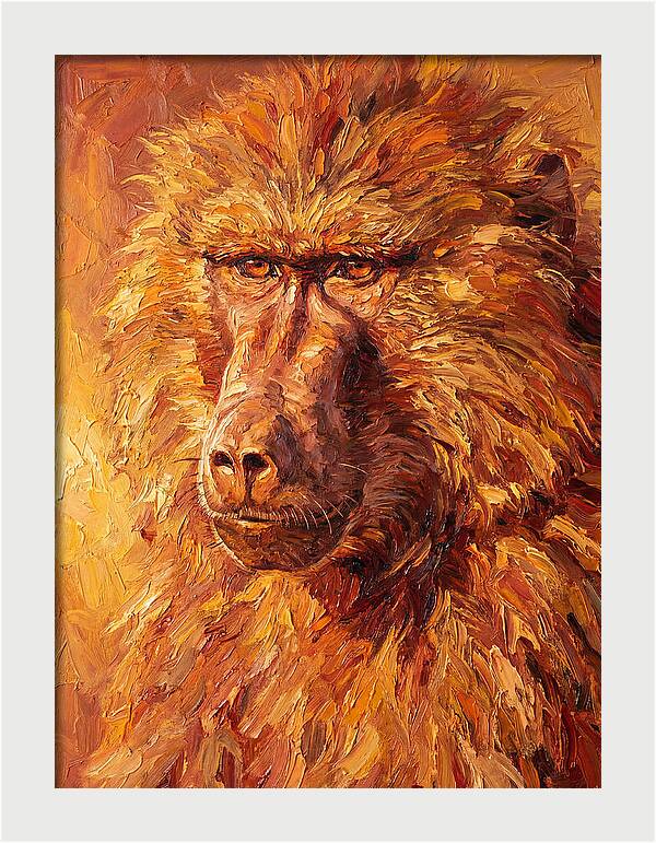 Regal Baboon Closeup