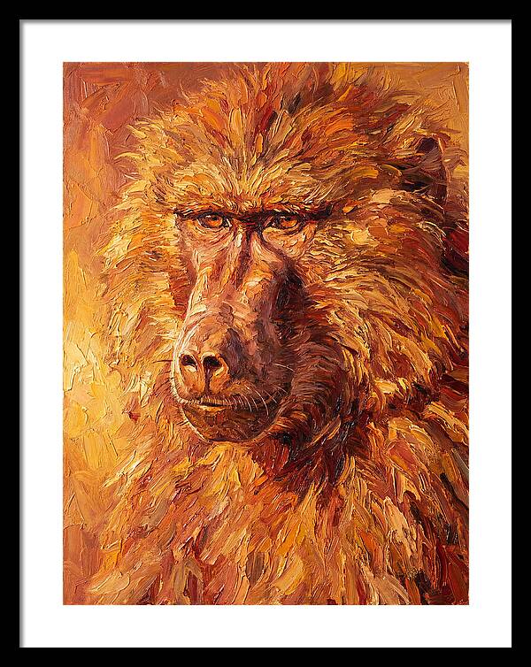 Regal Baboon Closeup
